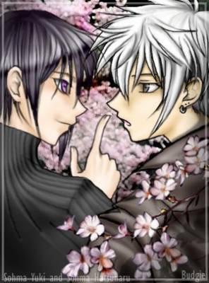 akito et haru