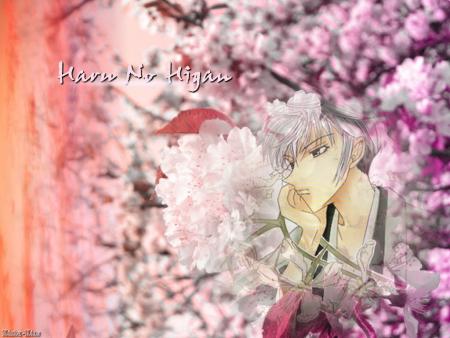 haru
